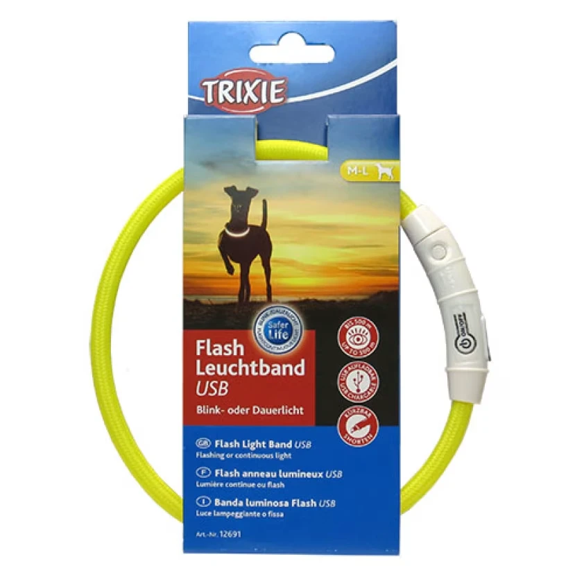 Гуляем безопасно: как выбрать ошейник для кота в городе