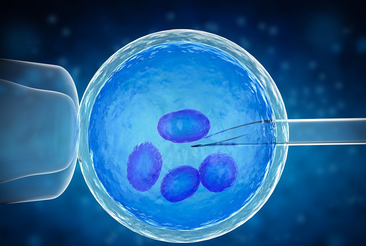 Лазерний хетчинг ембріонів: як технологія медцентру «Мати та дитина» підвищує шанси на імплантацію